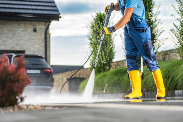 Best Soft Washing  in Mount Pleasant, IA